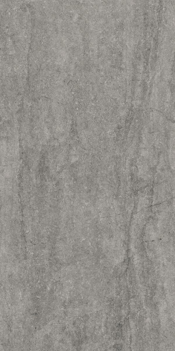 Cerrad Dignity Grey 119,7x59,7