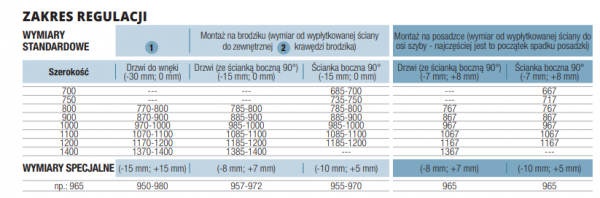 Sanswiss Cadura White Line Drzwi wahadłowe jednoczęściowe ze ścianką stałą w linii 100cm CA31CG1000907