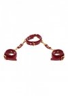 D-Ring Collar and Wrist Cuffs Red