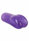 Purple Appetizer 9-piece set