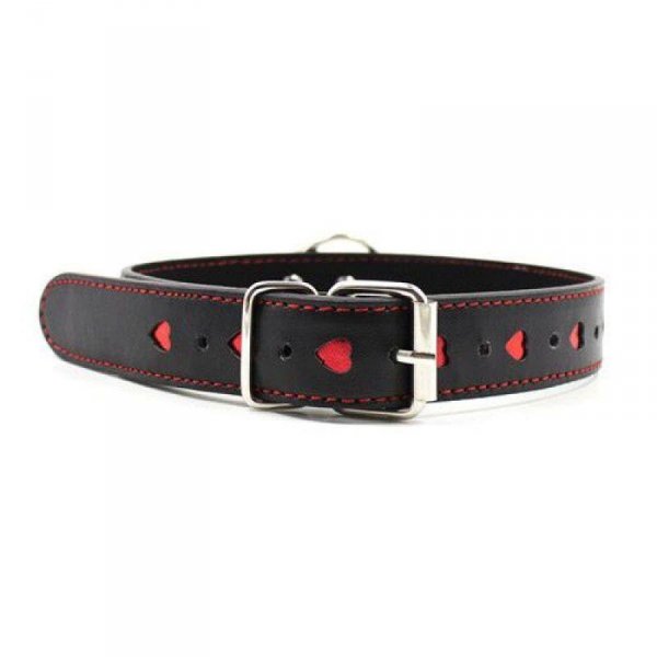 Easy Collar Leash black