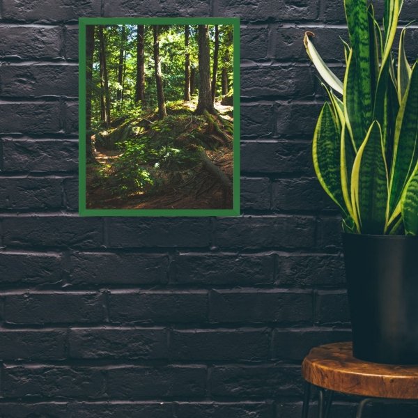ZESTAW Ramka zielona na zdjęcia 10x15 A6 - 5szt
