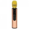 Mikrofon bezprzewodowy karaoke dla dzieci głośnik Bluetooth 2000mAh karta SD USB wysoka jakość złoty