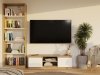 RTV Malwa 120 ARTISAN BIEL