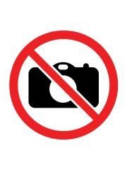 Puzzle 100 Jamnik na rakiecie