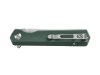 Nóż składany Ganzo Firebird FH11-GB