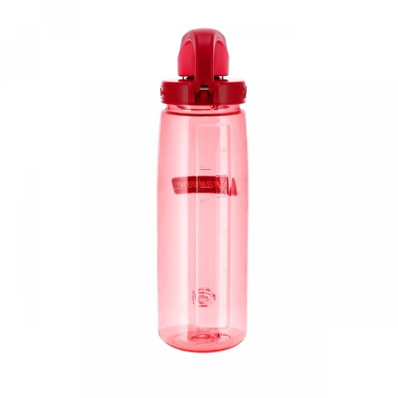 Butelka Nalgene On The Fly 0,65 l Petal Beet