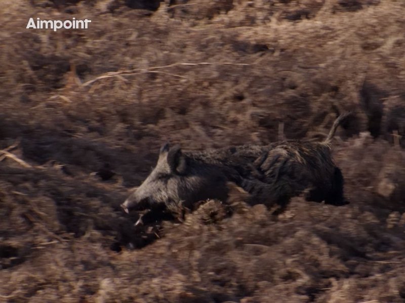 Kolimator Aimpoint Micro H-2 2 MOA