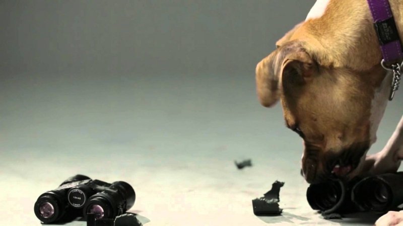 Powiększalnik Vortex VMX-3T do kolimatora Crossfire Sparc Sptifire UH-1