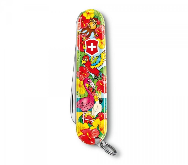 Zestaw dla dzieci scyzoryk My First Victorinox, zwierzęca edycja Papuga „Ari“ 0.2373.E3
