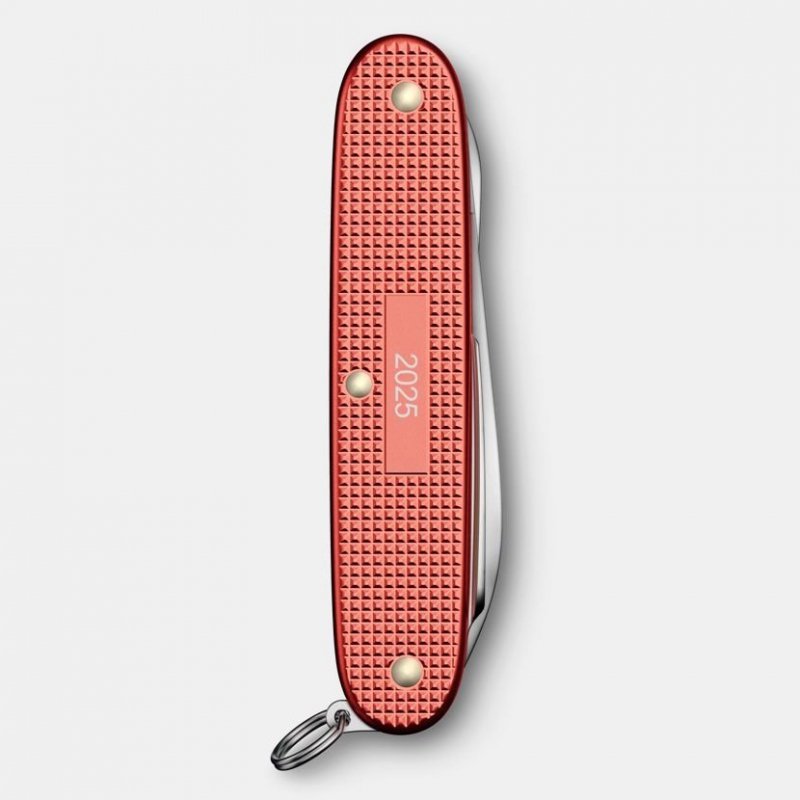 Scyzoryk Victorinox Pioneer X Alox Limited Edition 2025 0.8231.l25