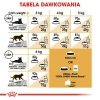 Royal Sphynx Adult 400g