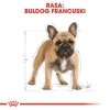 Royal French Bulldog Adult 1,5kg