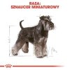 Royal Miniature Schnauzer Adult 7,5kg