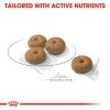 Royal CCN Mini Sterilised 1kg