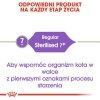 Royal 227420 Sterilised +7 3,5kg