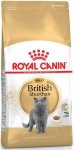 Royal British Shorthair Adult 2kg