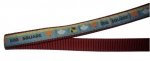 ZOLUX 546620RO Smycz taśma Picnic 15mm/1,2m czerw*