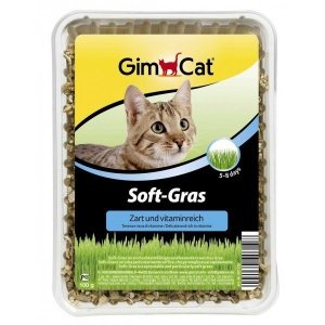 Gimcat Trawa Soft-Gras dla kota 100gr