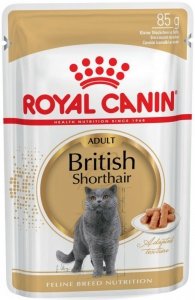Royal 240820 British Shorthair saszetka 85g