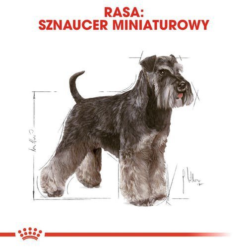 Royal Miniature Schnauzer Adult 3kg