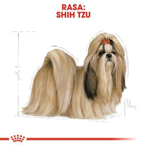 Royal Shih Tzu Adult 500g