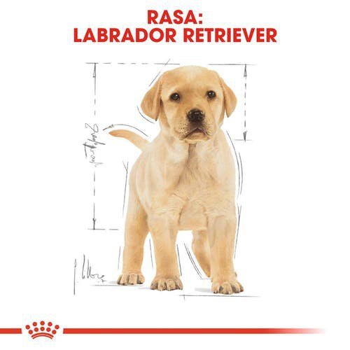 Royal Canin Labrador Retriever Puppy 3kg 