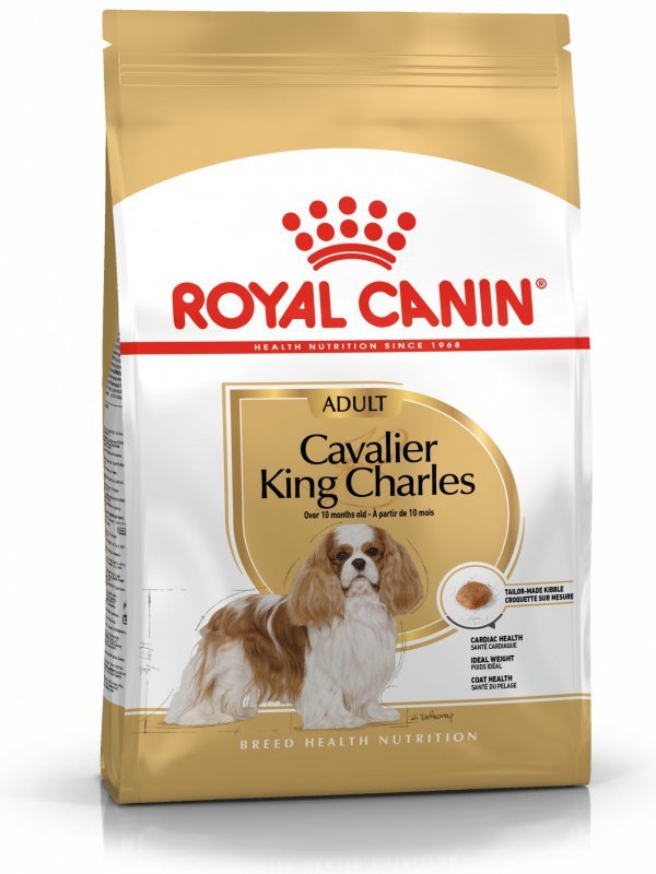 Royal Cavalier King Charles Adult 1,5kg