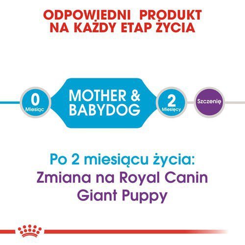 Royal Giant Starter Mother &amp; Babydog 15kg