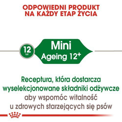 Royal Mini Ageing+12 1,5kg