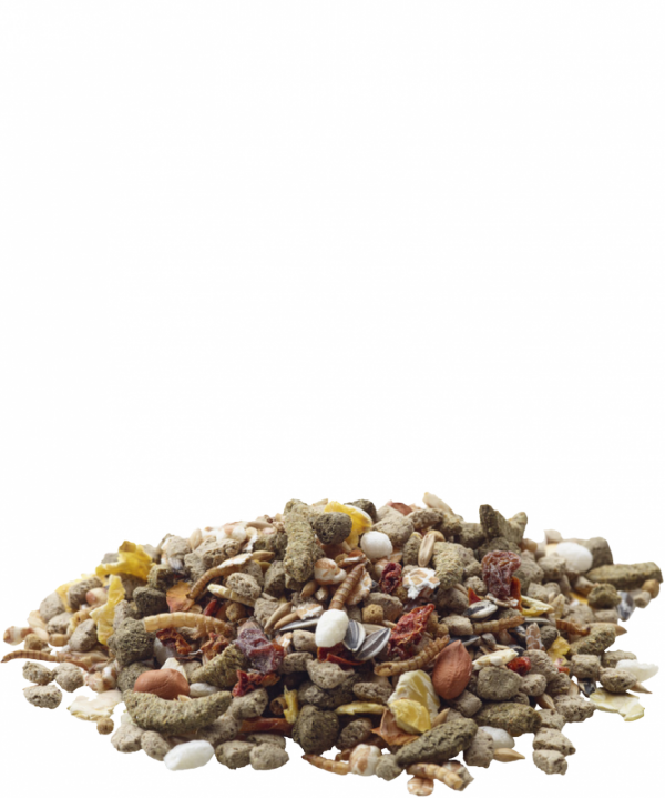 VL 461423 Rat Nature 700g dla szczura