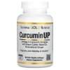 CurcuminUP | Wzbogacona Kurkuma 90 kaps.