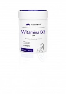 DR. ENZMANN MSE Witamina B3 MSE (180 kaps.)
