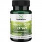 SWANSON Ginger Root extract - Imbir forte ekstrakt (60 kaps.) 