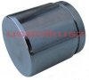 Tłok tylnego zacisku hamulcowego Buick Rainier 2004-2007
