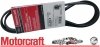 Pasek wielorowkowy napędzający osprzęt silnika MOTORCRAFT Ford Kuga 2,5 2013-2019