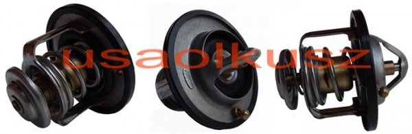 Termostat Nissan Sentra 2,5