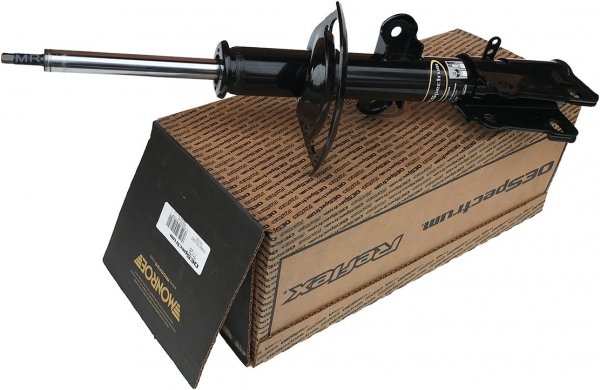 Przedni amortyzator Monroe  RAM Cargo Van