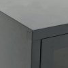 Szafka pod telewizor, antracytowa, 105x35x52 cm, stal i szkło