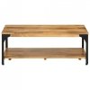 2-poziomowy stolik kawowy, 100x55x40 cm, drewno mango i stal