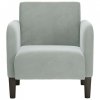 Sofa Fotel z Podłokietnikami Jasnoszary 54 cm Aksamit