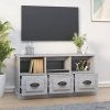 Szafka pod TV, szary dąb sonoma, 100x35x50 cm
