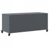 Szafka RTV, antracytowa, 100,5x39x43,5 cm, stal