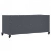 Szafka RTV, antracytowa, 100,5x39x43,5 cm, stal