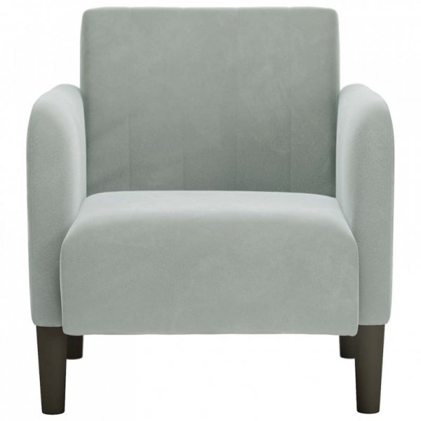 Sofa Fotel z Podłokietnikami Jasnoszary 54 cm Aksamit