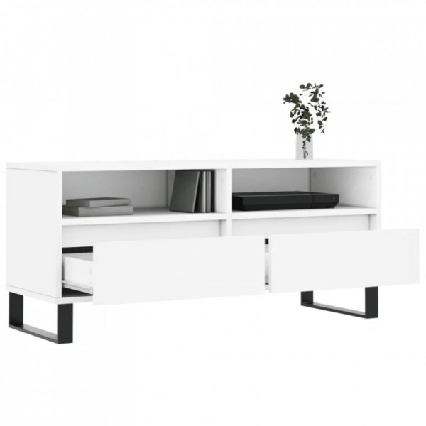 Szafka pod TV, biała, 100x34,5x44,5 cm, materiał drewnopochodny