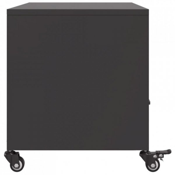 Szafka RTV, czarna, 68x39x43,5 cm, stal