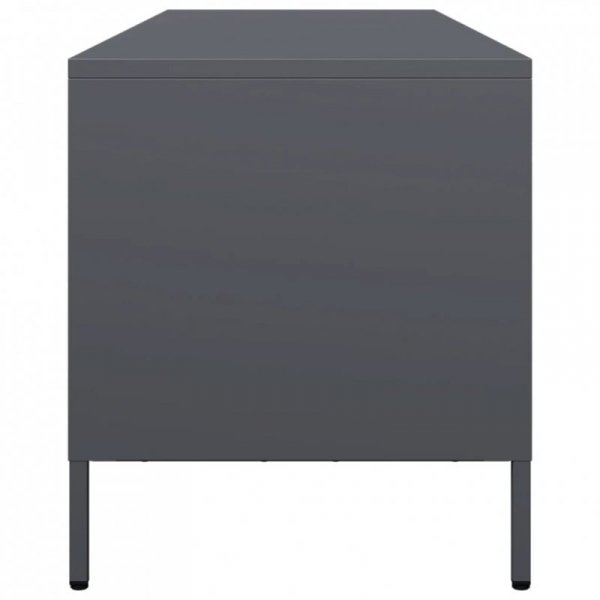 Szafka RTV, antracyt, 135x39x43,5 cm, stal walcowana na zimno