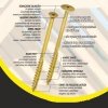 WKRĘT DO DREWNA Z KOŁNIERZEM NA TORX OCYNKOWANY 10*260MM T40 (50 SZT)