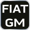 Zestaw blokad rozrządu do silników diesla Fiat/GM